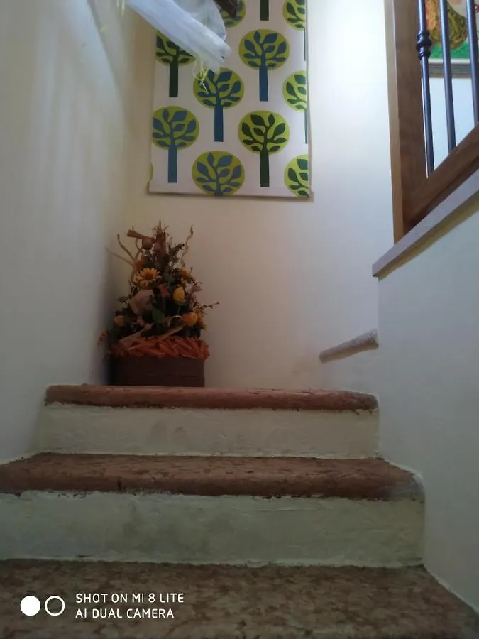 לינה וארוחת בוקר San Benedetto Po Il Tempo Dei Sogni