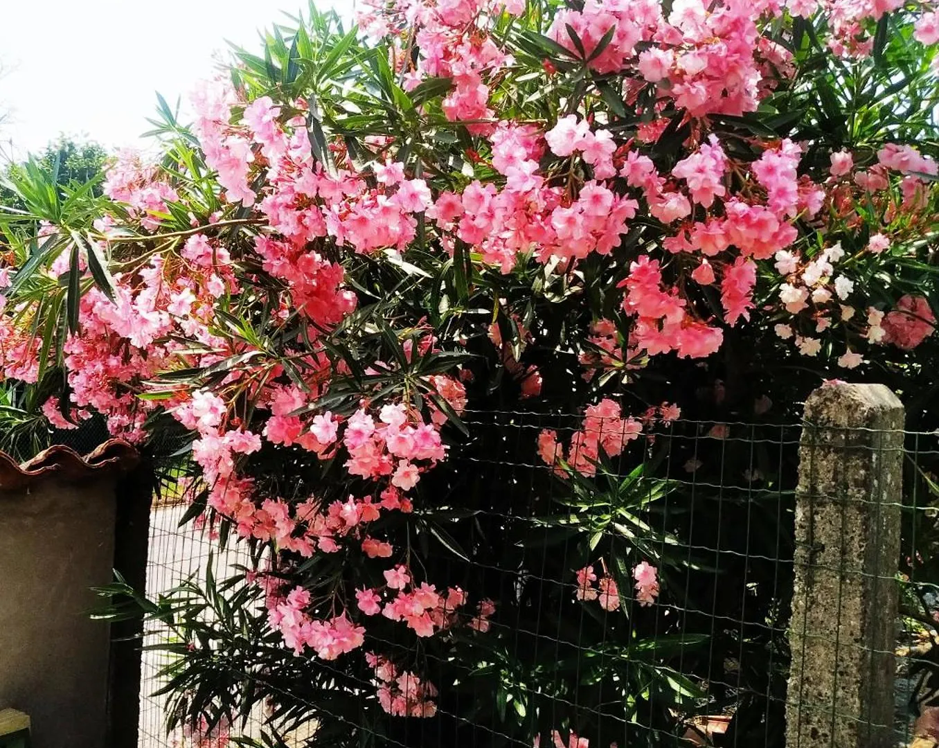 לינה וארוחת בוקר San Benedetto Po Il Tempo Dei Sogni איטליה